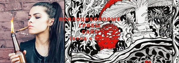 СК Медвежьегорск