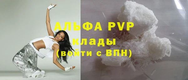 СК Медвежьегорск